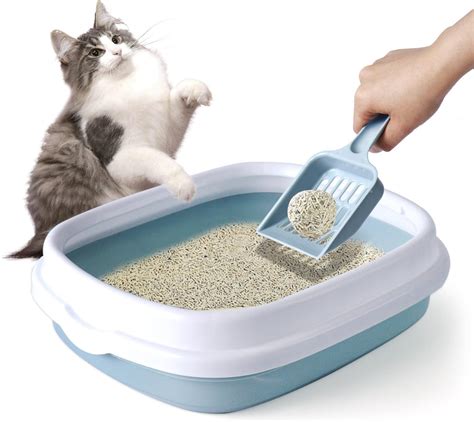 amazon cat litter|Amazon.com: Cat Litter: Pet Supplies.